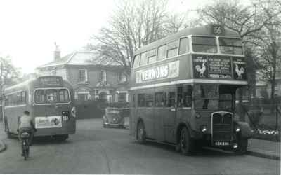 Sutton Green, 1954