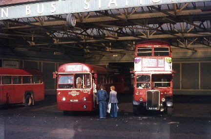 Real buses as far as the eye can see...