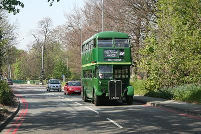 Green line in the country