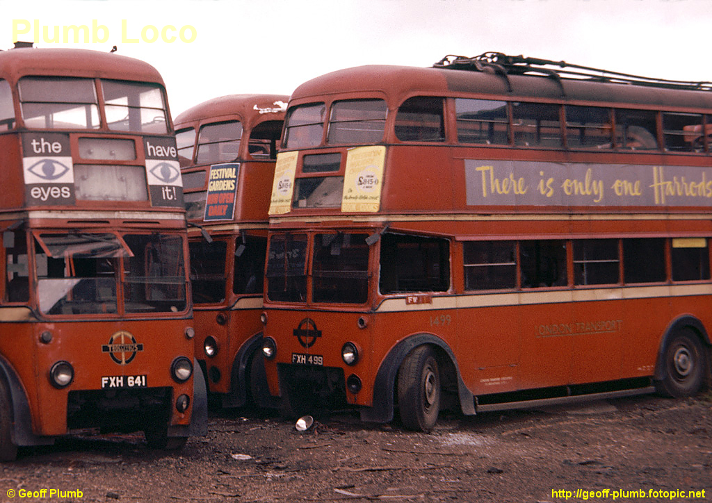 CE_LTTrolleybus_Colindale_GeoffPlumb.jpg