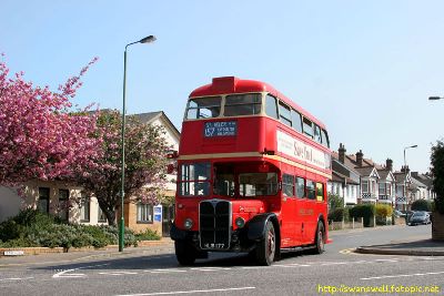 Glorious suburbia